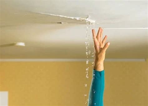 water damage apartment ceiling|Apartment Ceiling Leak Causes & What To Do 